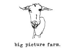Hand-drawn picture of a goat